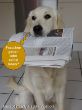 Barny--die Post ist da! 8-12.jpg